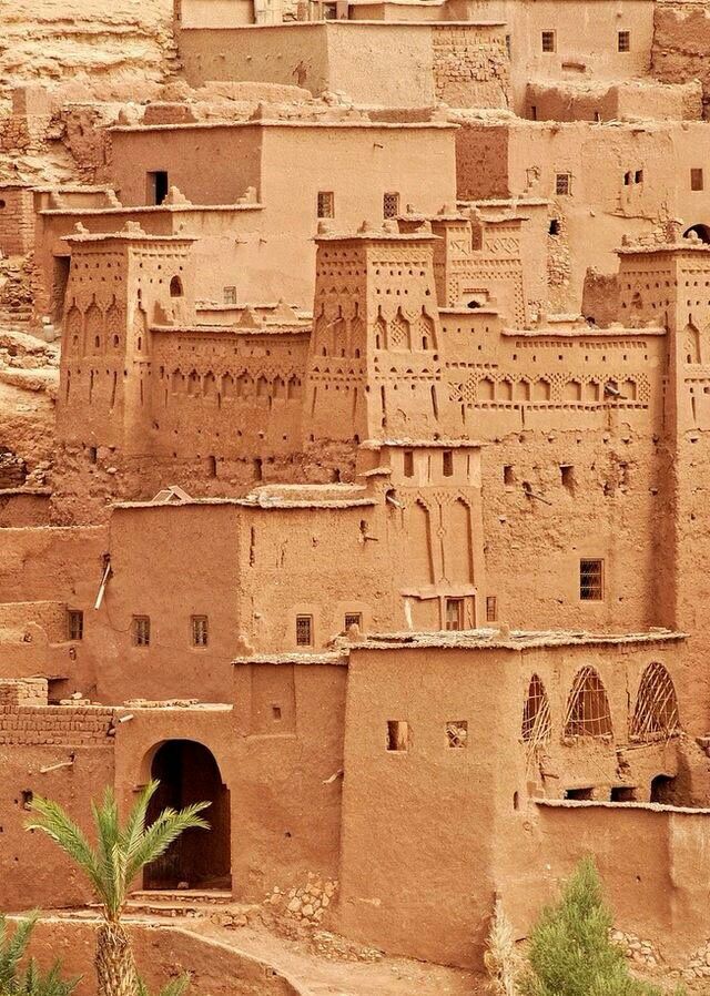 Pourquoi choisir Tours Morocco pour découvrir le Maroc ?