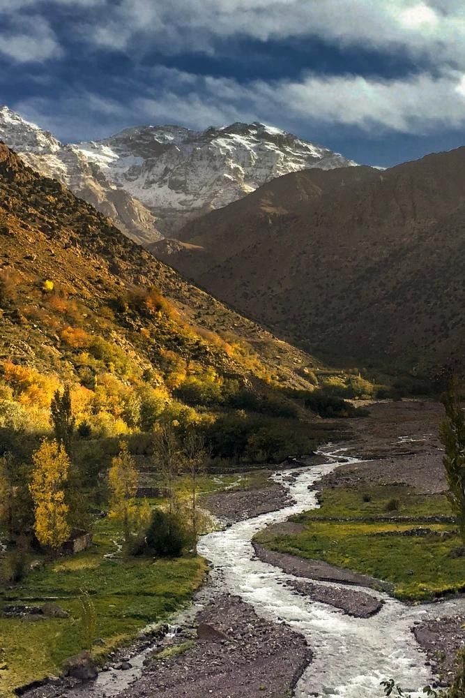Des aventures inoubliables avec les Tours Morocco